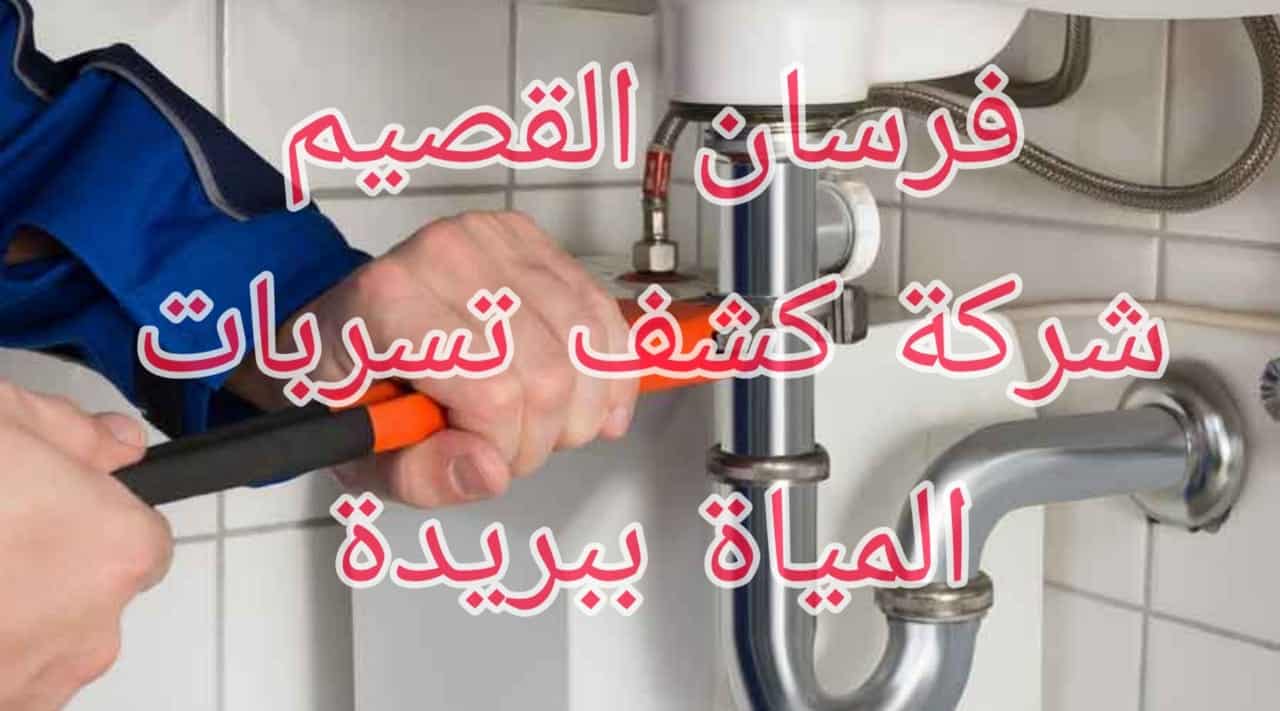 شركة كشف تس