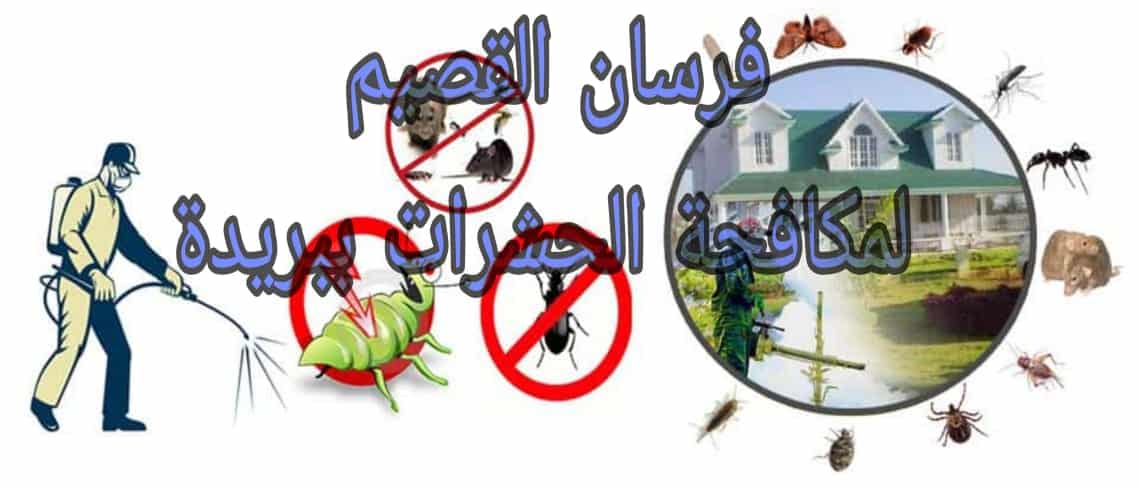 شركة مكافحة حشرات ببريدة