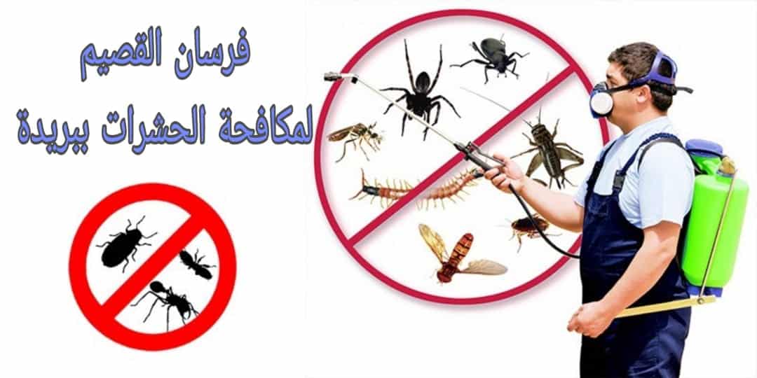 شركة مكافحة حشرات ببريدة