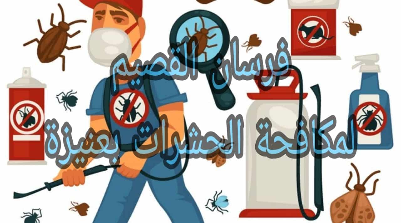 شركة مكافحة حشرات بعنيزة