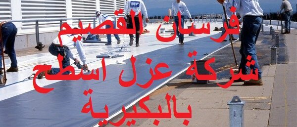شركة عزل اسطح بالبكيرية
