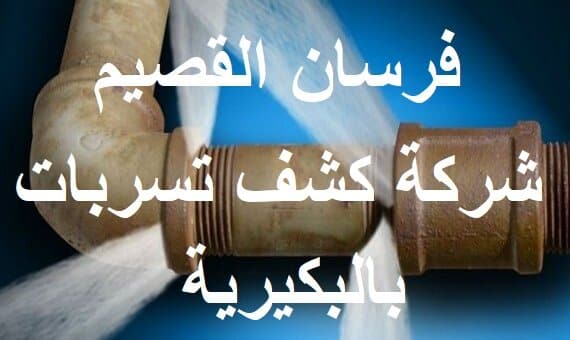 شركة كشف تسربات بالبكيرية