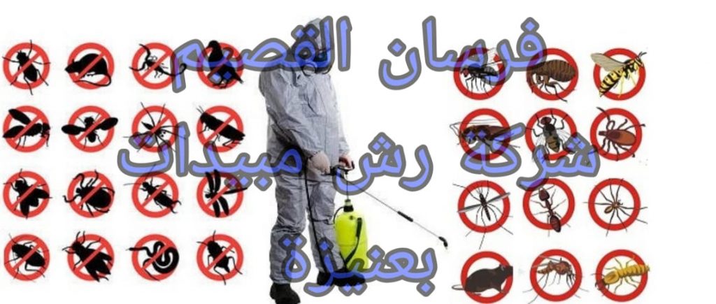 شركة رش مبيدات بعنيزة