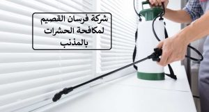 شركة-مكافحة-حشرات