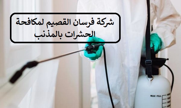  شركة-مكافحة-حشرات